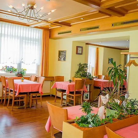 Heilquelle Hotel 3*